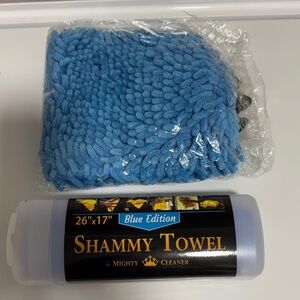 Blue Shammy Towel and Washing Mitt
